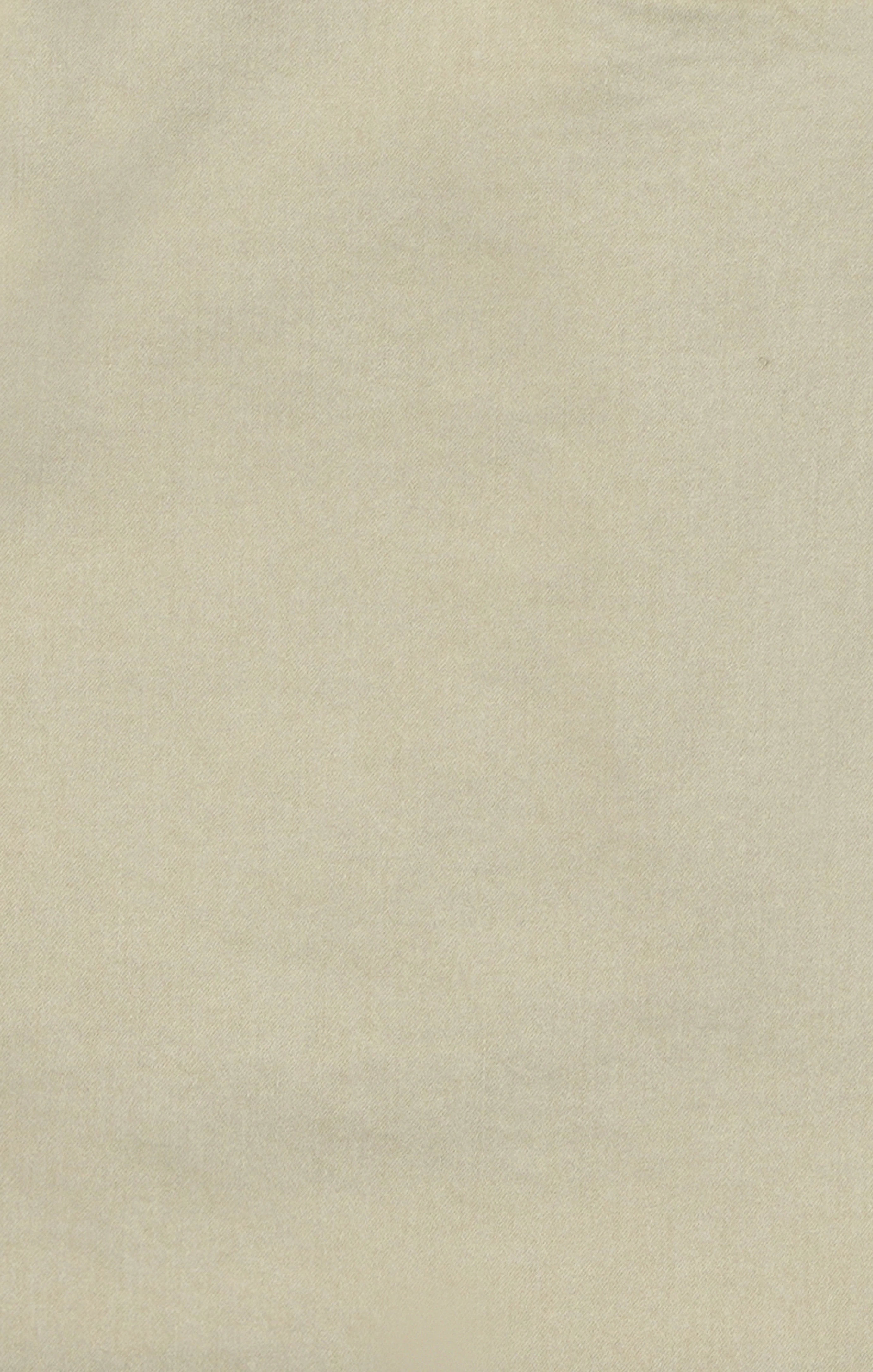 Arizona Slim Shorts In Aluminum Twill - Image 6